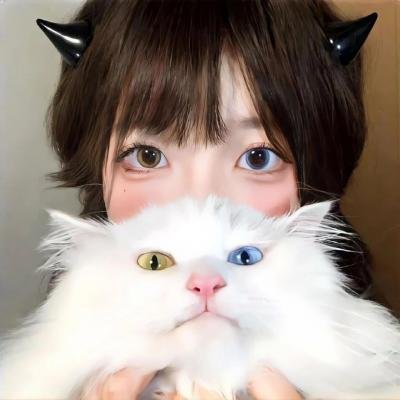 哈克贝利·芬历险记